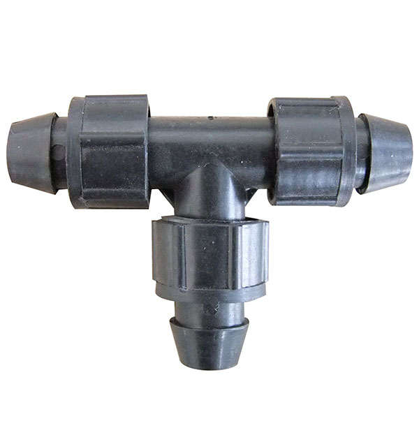 ��16�iĸ����ͨ